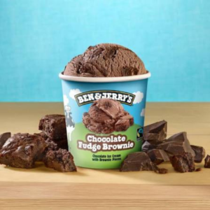 B&J Chocolate Fudge Brownie